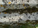 image of grave number 312543